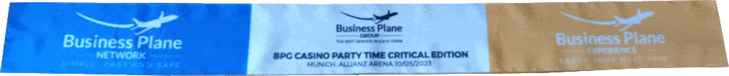 sciarpa business plane