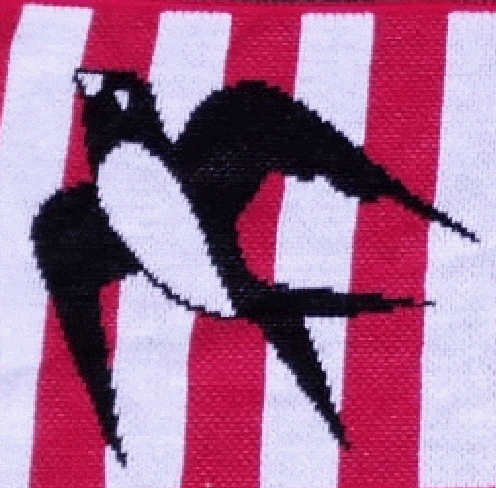 Logo Rondine