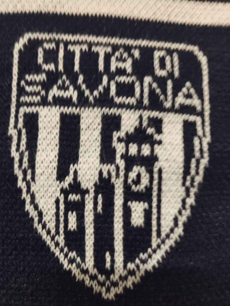 logo città di Savona